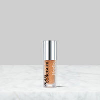 Glass Concealer - Available in 5 shades
